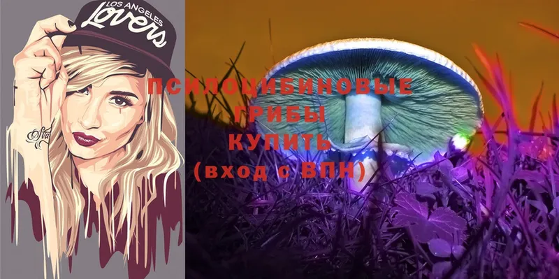 mega рабочий сайт  Казань  Галлюциногенные грибы Psilocybine cubensis 